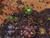 Starcraft 2: Wings of Liberty C.E. (Art.-Nr. 90387516) - Vorschaubild #22