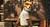 fantastische Mr. Fox, Der (item no. 90400090) - Thumbnail #4