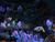 Geheime Fälle: Seawise Chronicles (item no. 90403488) - Thumbnail #3