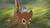Bambi 2 - Der Herr der Wälder SE (item no. 90403807) - Thumbnail #20