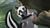 Bambi 2 - Der Herr der Wälder SE (item no. 90403807) - Thumbnail #16