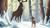 Bambi 2 - Der Herr der Wälder SE (item no. 90403807) - Thumbnail #8