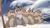 Bambi 2 - Der Herr der Wälder SE (item no. 90403807) - Thumbnail #10