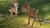Bambi 2 - Der Herr der Wälder SE (item no. 90403807) - Thumbnail #18