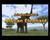 Safar'Wii (Preis-Hit) (item no. 90404329) - Thumbnail #3
