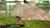 Naruto Shippuden: Kizuna Drive (item no. 90405810) - Thumbnail #14