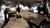 Mass Effect 3 (item no. 90405962) - Thumbnail #16