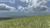Landwirtschaftssimulator Pro Farm 1 (item no. 90408487) - Thumbnail #6