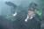 Green Hornet 3D, The (item no. 90409510) - Thumbnail #8