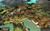 Storm Frontline Nation (item no. 90414619) - Thumbnail #4