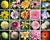Franzis 3D Gartenplaner 2011 (item no. 90419779) - Thumbnail #3