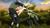 Naruto Shippuden: Ultimate Ninja Storm Generations (item no. 90423115) - Thumbnail #18