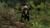 Wunder des Herrn B., Die (item no. 90423380) - Thumbnail #3