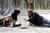 Thor (BR + DVD + Digital Copy) (item no. 90424132) - Thumbnail #5