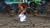 Tekken Hybrid (item no. 90432853) - Thumbnail #10