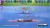 Nintendo Wii Limited Edition Mario & Sonic Pack blau (item no. 90434558) - Thumbnail #5