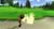Nintendo Wii Family Edition weiß (item no. 90436819) - Thumbnail #19