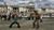 Reality Fighters (item no. 90437944) - Thumbnail #5