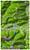 Garmin Montana 600 schwarz/gelb (item no. 90439366) - Thumbnail #10