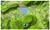 Garmin Montana 650t schwarz (item no. 90439368) - Thumbnail #7