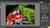 Adobe Photoshop Elements 10 (item no. 90446535) - Thumbnail #4