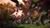Tera Collector Edition (item no. 90447816) - Thumbnail #3