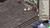 Disgaea 3 - Absence of Detention (item no. 90449068) - Thumbnail #3