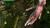 Gravity Rush (item no. 90456806) - Thumbnail #11