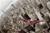 Spider-Man 3 (item no. 90459774) - Thumbnail #3