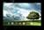 ASUS Eee Pad Transformer TF300TG 3G 32GB Android blau inkl. Tastaturdock (item no. 90467624) - Thumbnail #3