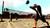 Sports Champions (Move) (item no. 90462348) - Thumbnail #2