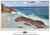 Toshiba 32EL934G weiss (item no. 90468222) - Thumbnail #6