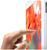 Apple iPad Wi-Fi 32GB iOS weiß (Art.-Nr. 90488665) - Vorschaubild #5