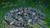 Sim City Limited Edition (Art.-Nr. 90492945) - Vorschaubild #10