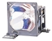 InFocus SP-LAMP-LP7 Ersatzlampe
