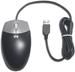 HP 2-Button Optical Maus USB