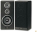 Pioneer CS-3070 schwarz Paar