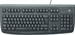 Logitech OEM Keyboard Deluxe 250 USB
