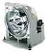 ViewSonic RLC-150-07A Ersatzlampe