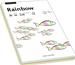 Papyrus OfficePlus A4 80g/m²