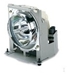 ViewSonic RLC-026 Ersatzlampe