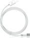 Apple MagSafe Airline Netzteil
