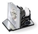 Acer EC.J6300.001 Projektorlampe