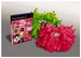 EyeToy: Play PomPom Party
