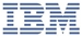 IBM Netxtreme II 1000 Express