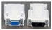 Avocent VGA/DVI-Adapter