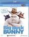 Big Buck Bunny