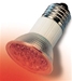 Allnet LED Strahler rot
