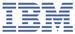 IBM Hot Swap SAS 300GB