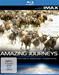 Seen On IMAX: Amazing Journeys